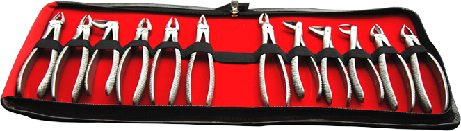 Extracting Forceps 