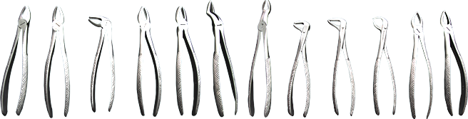Extracting Forceps 